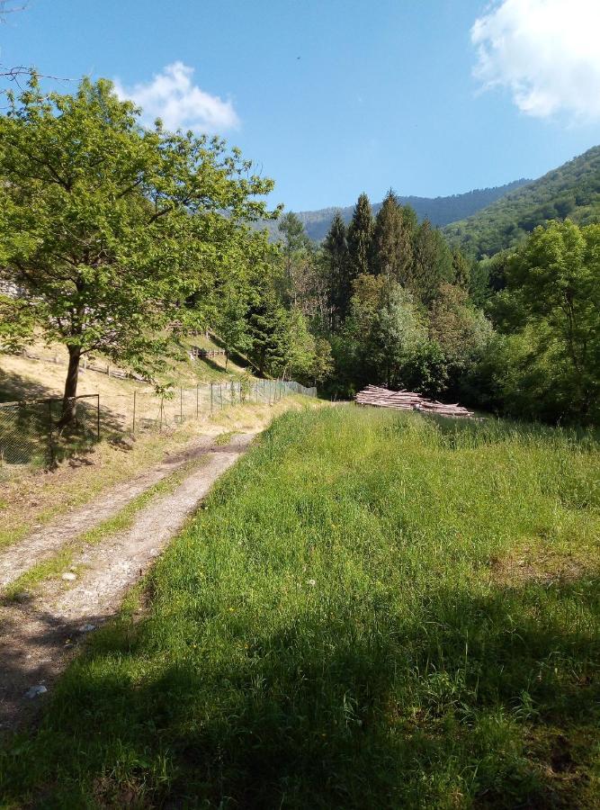 Apartmán Grigioperla Tavernerio Exteriér fotografie